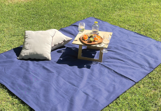 5 cosas esenciales para hacer un picnic